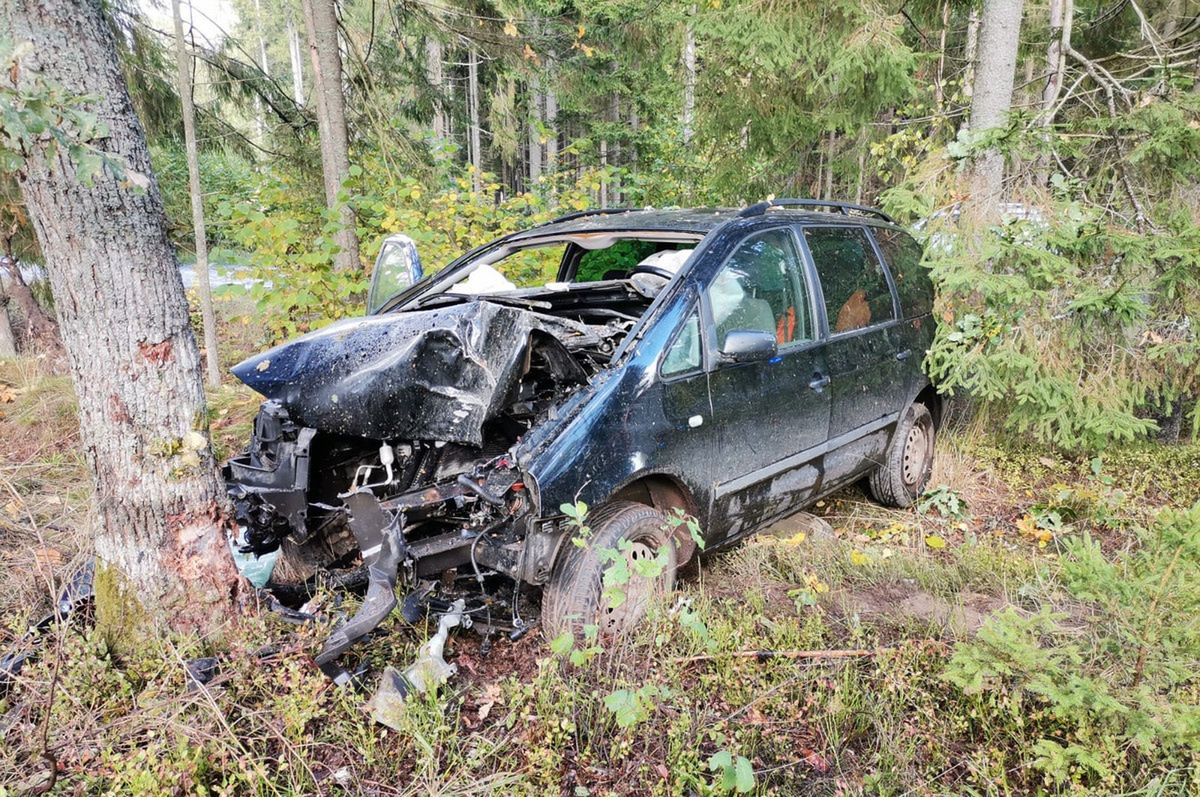 Auto wypadło z drogi. 72-letni kierowca zginął na miejscu