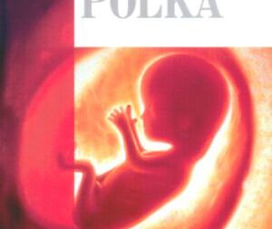 Czy da Vinci była kobietą?