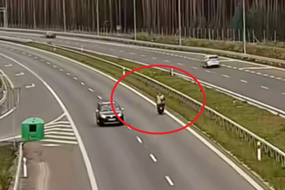 Jechał pod prąd na S3. Nagrali kierującego skuterem