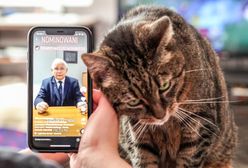 Jarosław Kaczyński grozi senatorom PiS. W klubie tli się bunt przeciwko prezesowi