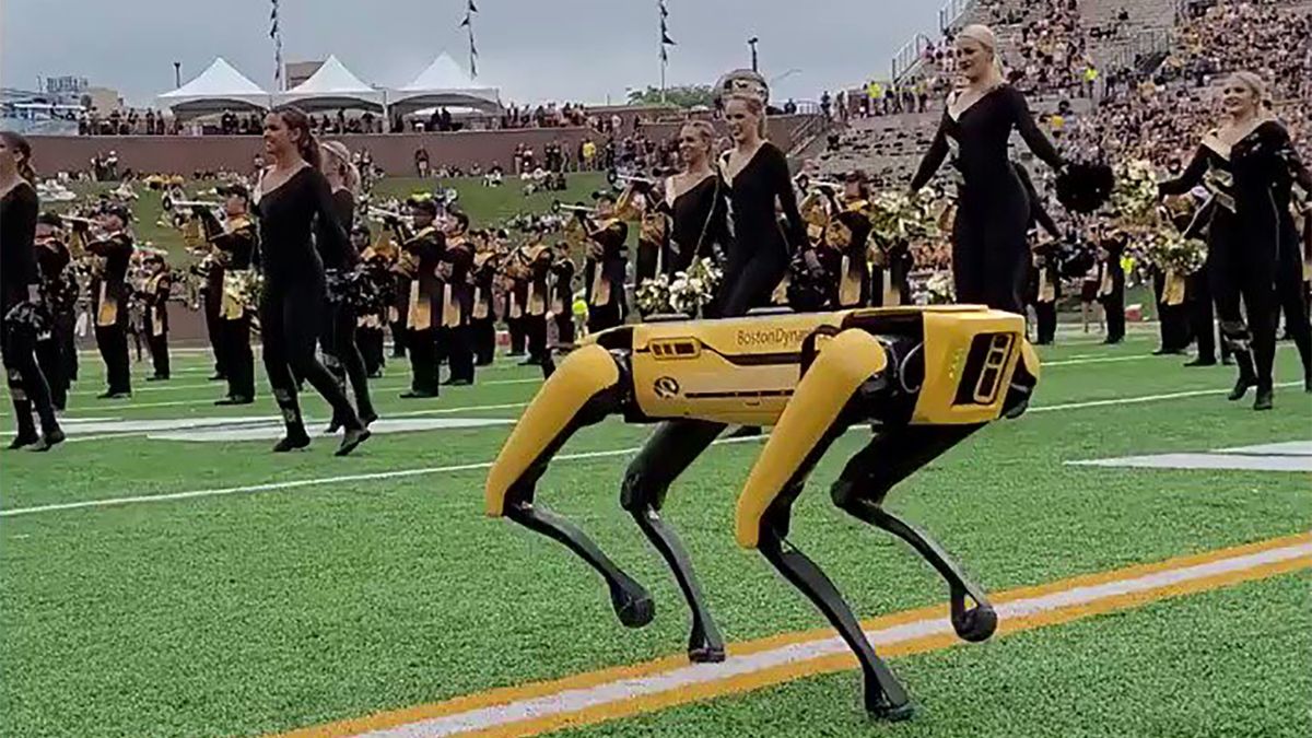 Pies-robot zatańczył na pokazie cheerleaderek