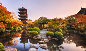 To miejsce zachwyci. Na początek powstanie altana herbaciana i wyspa żółwia