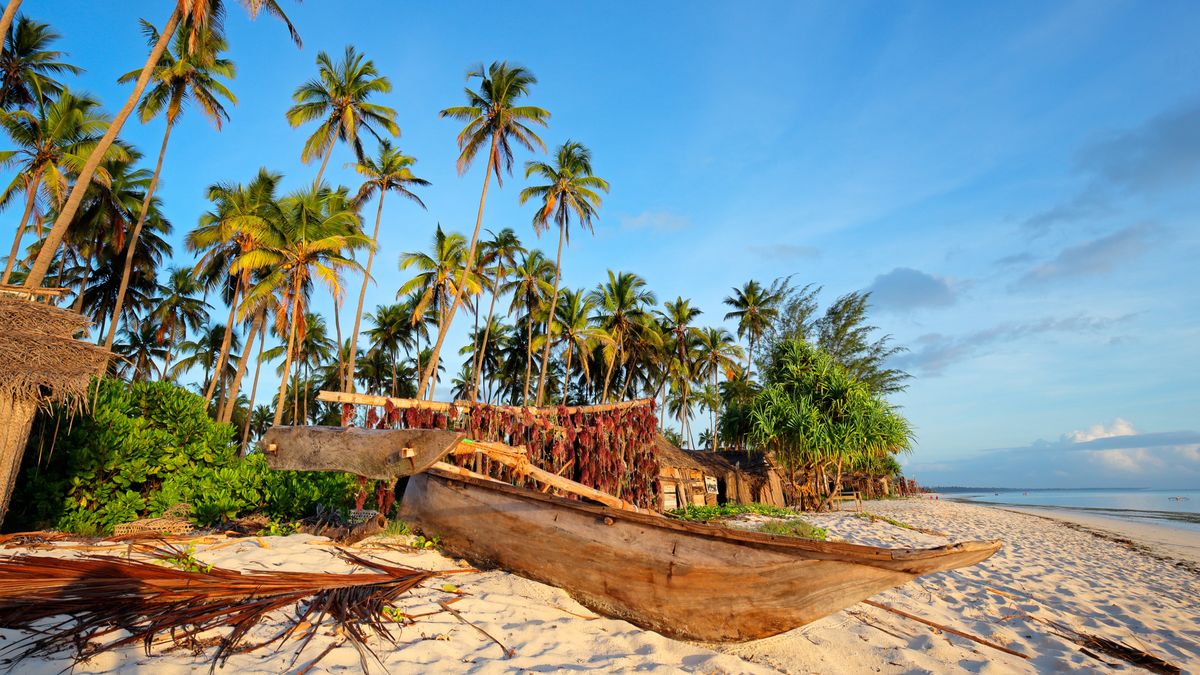 Wielki przekręt na wycieczkach i inwestycjach. List gończy za "Wojtkiem z Zanzibaru"