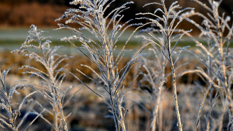 Pogoda na piątek. Będą przymrozki. Temperatura spadnie poniżej zera