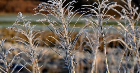 Pogoda na piątek. Będą przymrozki. Temperatura spadnie poniżej zera