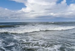 Morze Bałtyckie uratowane?