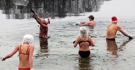 Kąpiel morsów w lodowatej wodzie