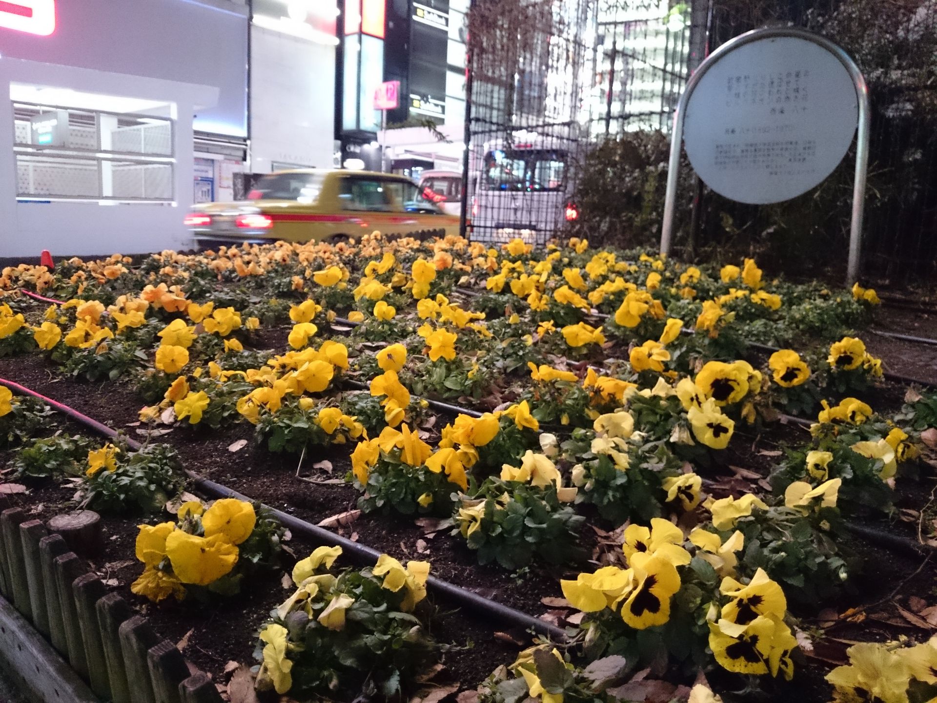 Filmy i zdjęcia zrobione LG G Pro 2, Xperią Z2 oraz Galaxy S5 19