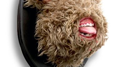 Koszmarnie fajne trofea ścienne 1