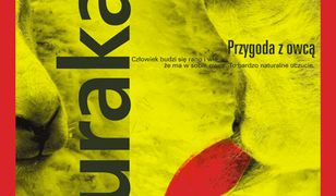 Przygoda z owcą (audiobook)