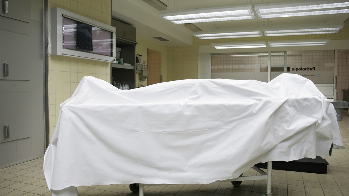 Kobieta obudziła się w worku na zwłoki. Uznano, że nie żyje