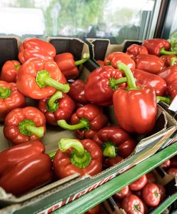 Cena papryki wystrzeliła. To nie żart