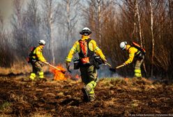 "Nie wpłacać żadnych pieniędzy". Ostrzeżenia po pożarze w parku