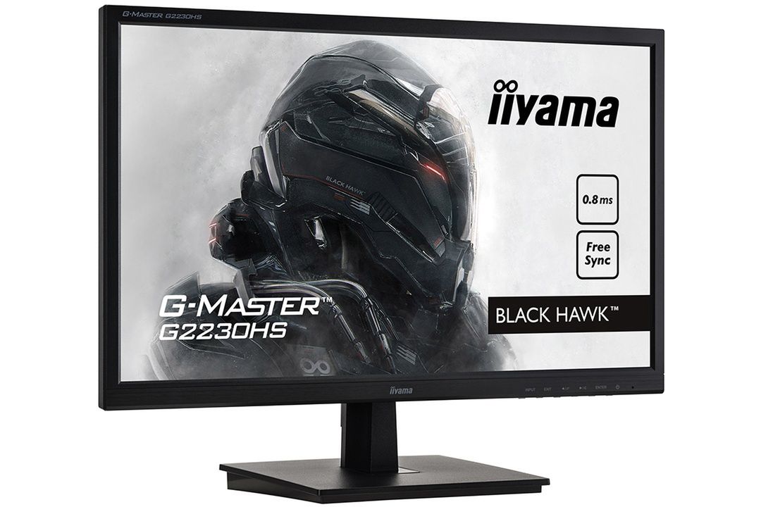 iiyama G-Master 