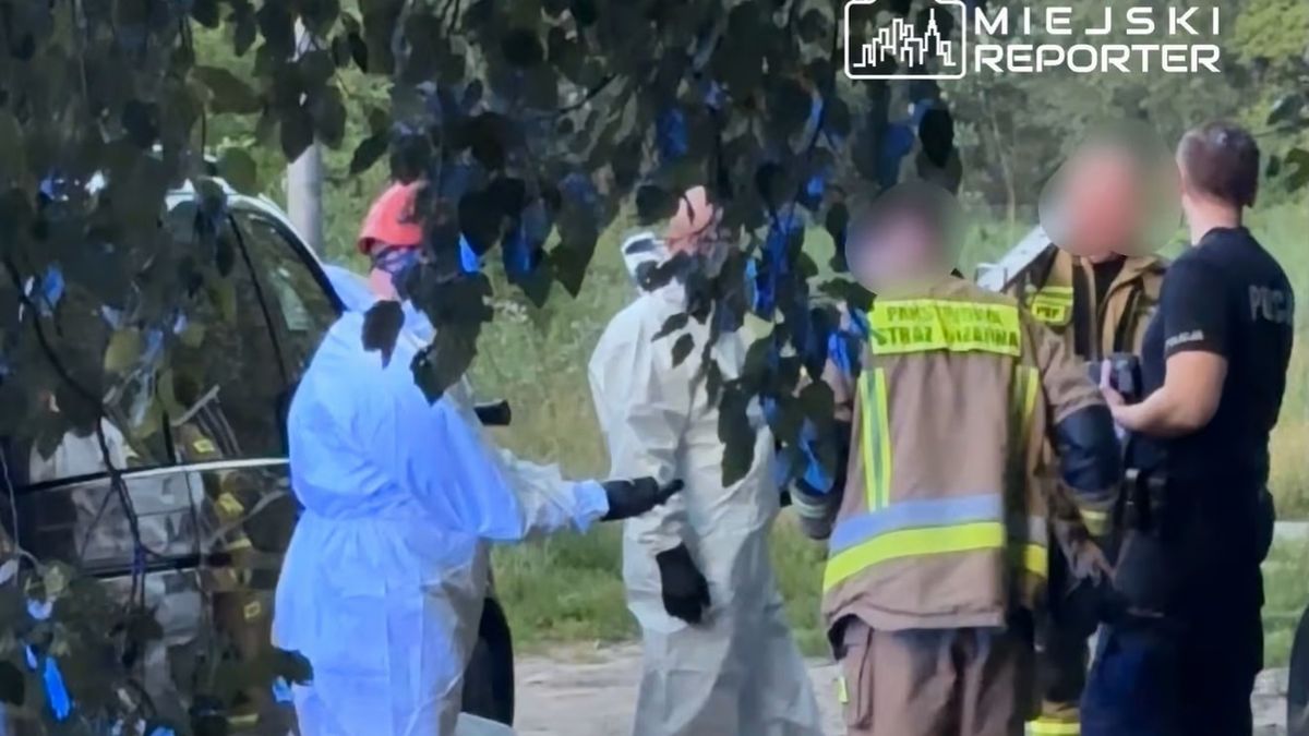 Na Mokotowie znaleziono rozkładające się ciało w piwnicy  