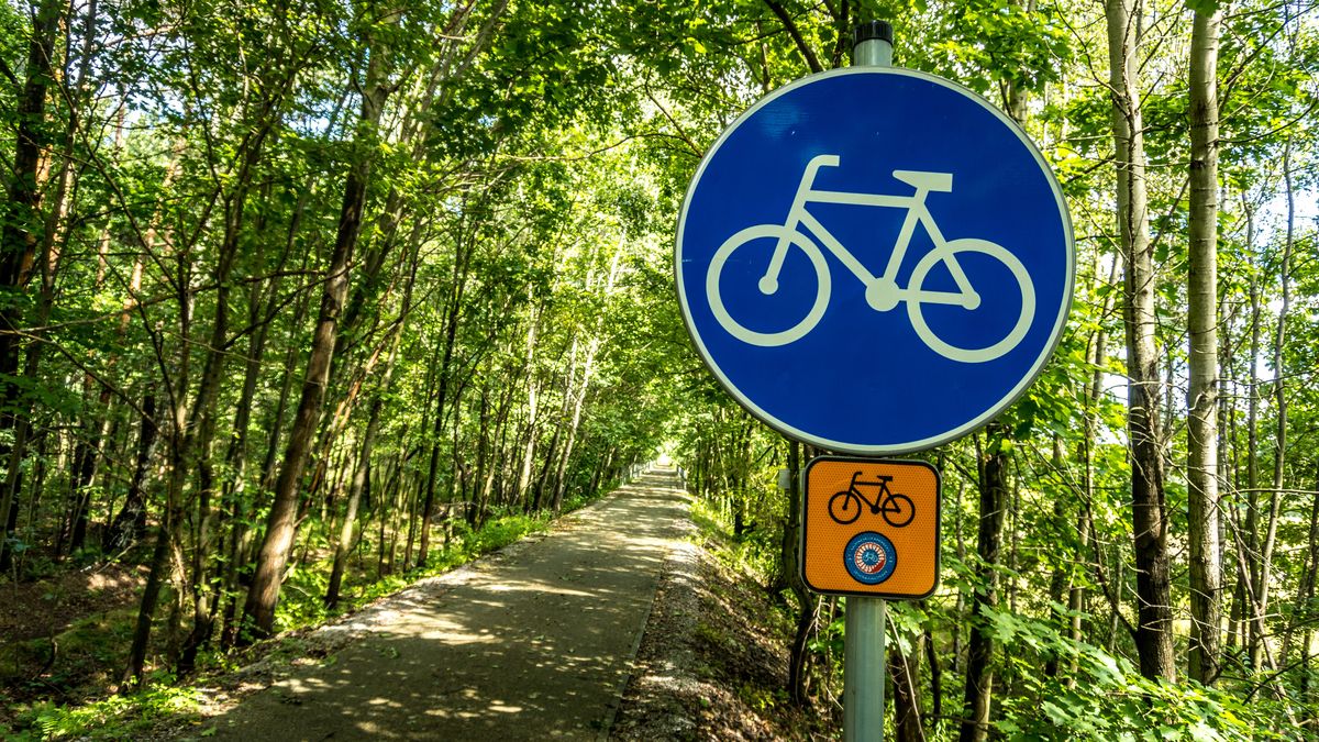 Na Podkarpaciu znajduje się 210 oznakowanych szlaków rowerowych o łącznej długości niemal 7,2 tys. km.