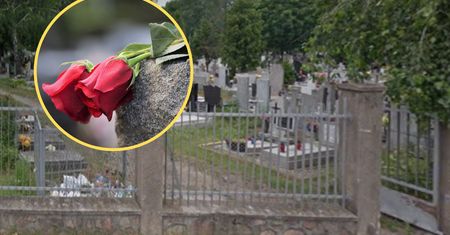 Odkryli, kto kradnie pąki kwiatów z bydgoskiego cmentarza