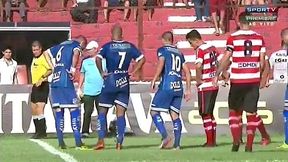 Przez węża musieli przerwać mecz w Brazylii. Zobacz szalone sceny z boiska