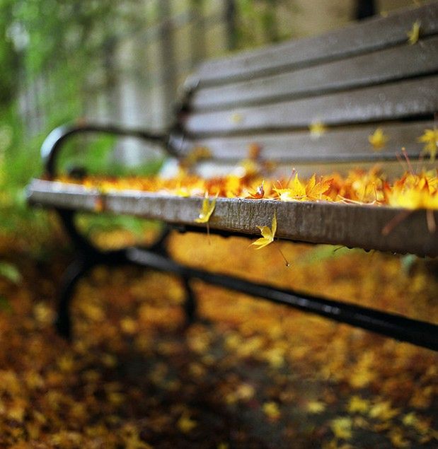 Jesienne inspiracje [galeria] 3