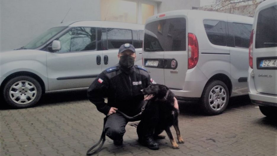 "Niż"   i jego przewodnik znaleźli zaginionego w Raciborzu.