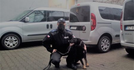 Racibórz. Szczęśliwy koniec poszukiwań, zaginionego znalazł pies