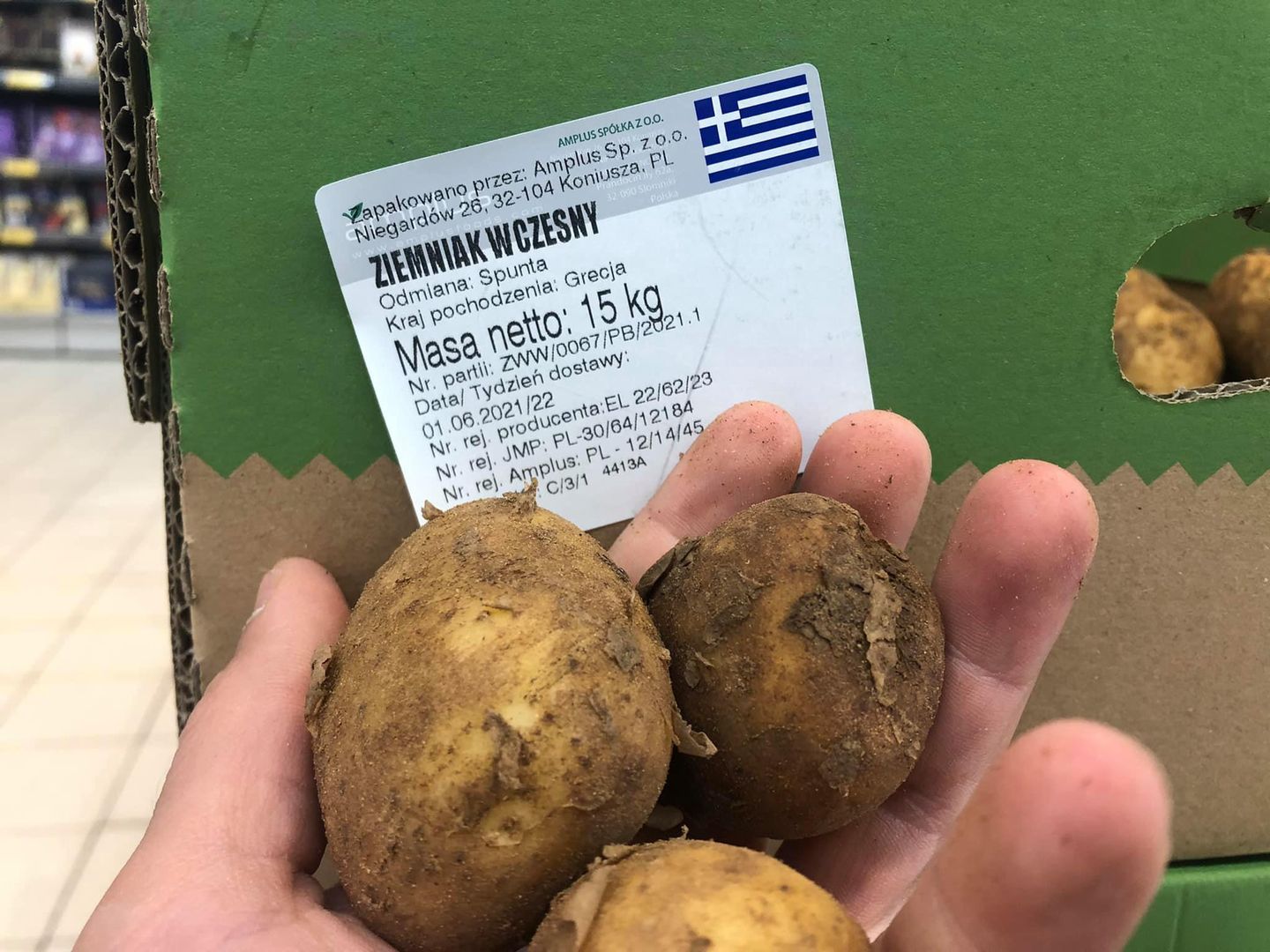 Młode ziemniaki z Grecji.