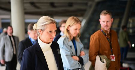 Trzęsienie ziemi po decyzji kontrwywiadu ws. AfD. Media komentują