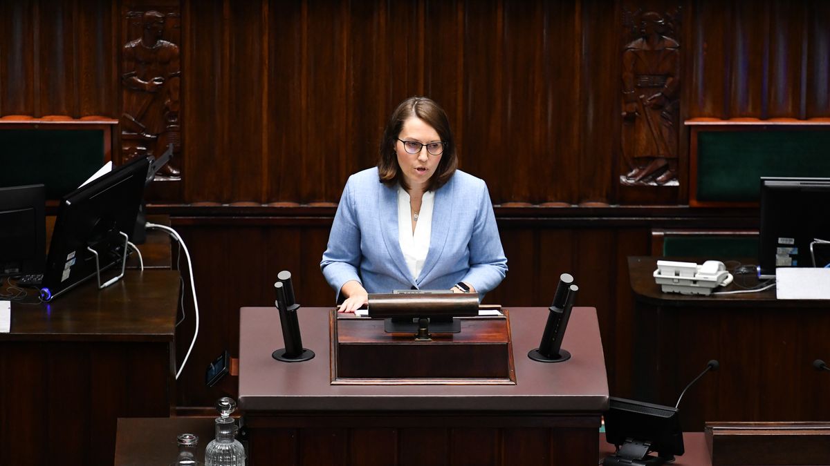 Na zdjęciu Magdalena Rzeczkowska na mównicy sejmowej