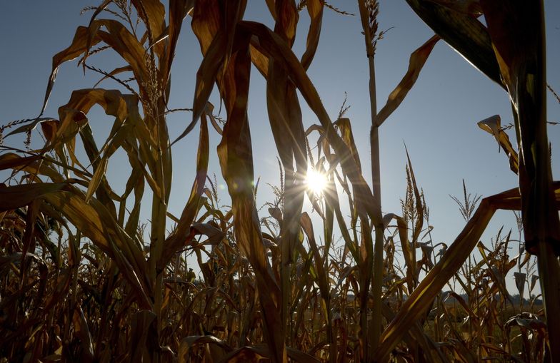 Stan klęski żywiołowej jak stan wojenny. To dlatego rząd go nie wprowadza?