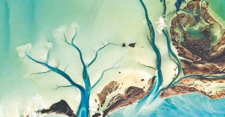 NASA udostępnia za darmo inspirujący album "Earth"