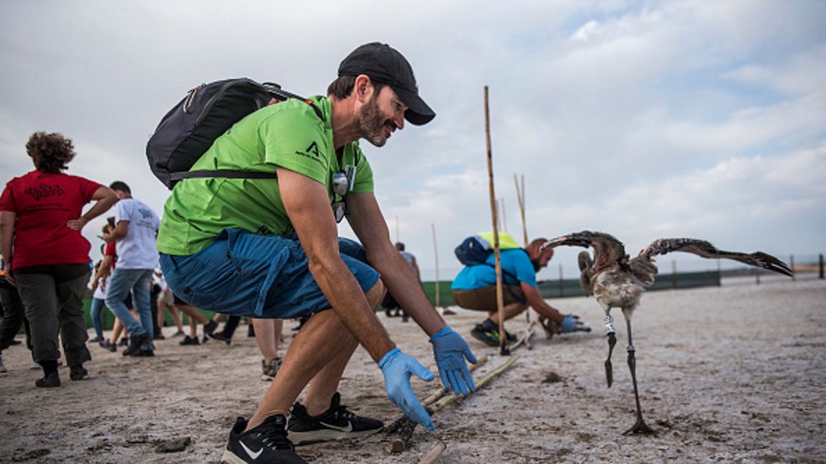 Katastrofa klimatyczna zatacza coraz szersze kręgi. Wyniki badań mówią same za siebie