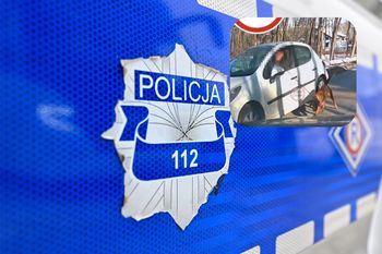 Skandaliczne nagranie spod Warszawy. Jest reakcja policji