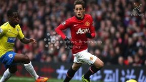 Gwiazda Manchesteru United zdecydowała. Adnan Januzaj zagra dla Belgii