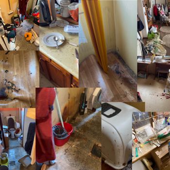 Niepokojące informacje po interwencji. 41 kotów i 4 psy potrzebują pomocy weterynaryjnej