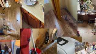 Niepokojące informacje po interwencji. 41 kotów i 4 psy potrzebują pomocy weterynaryjnej