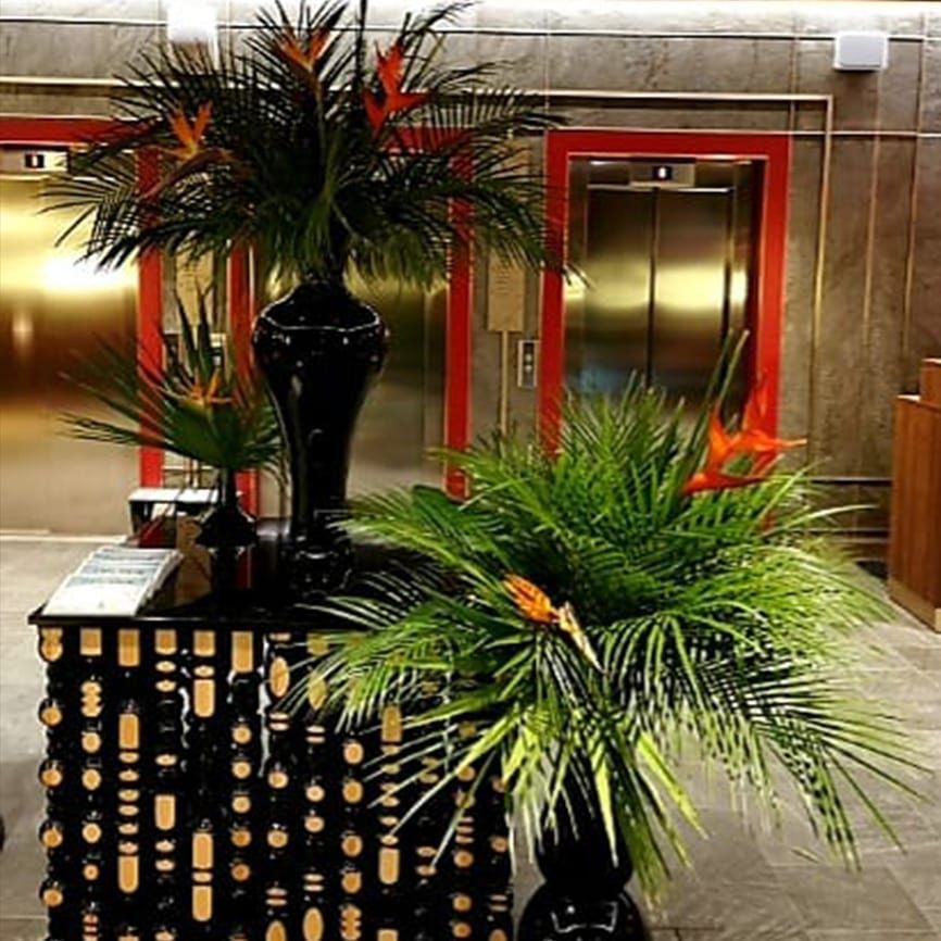 Nosalowy Park Hotel&Spa - źródło: instagram.com/nosalowyparkhotelspa