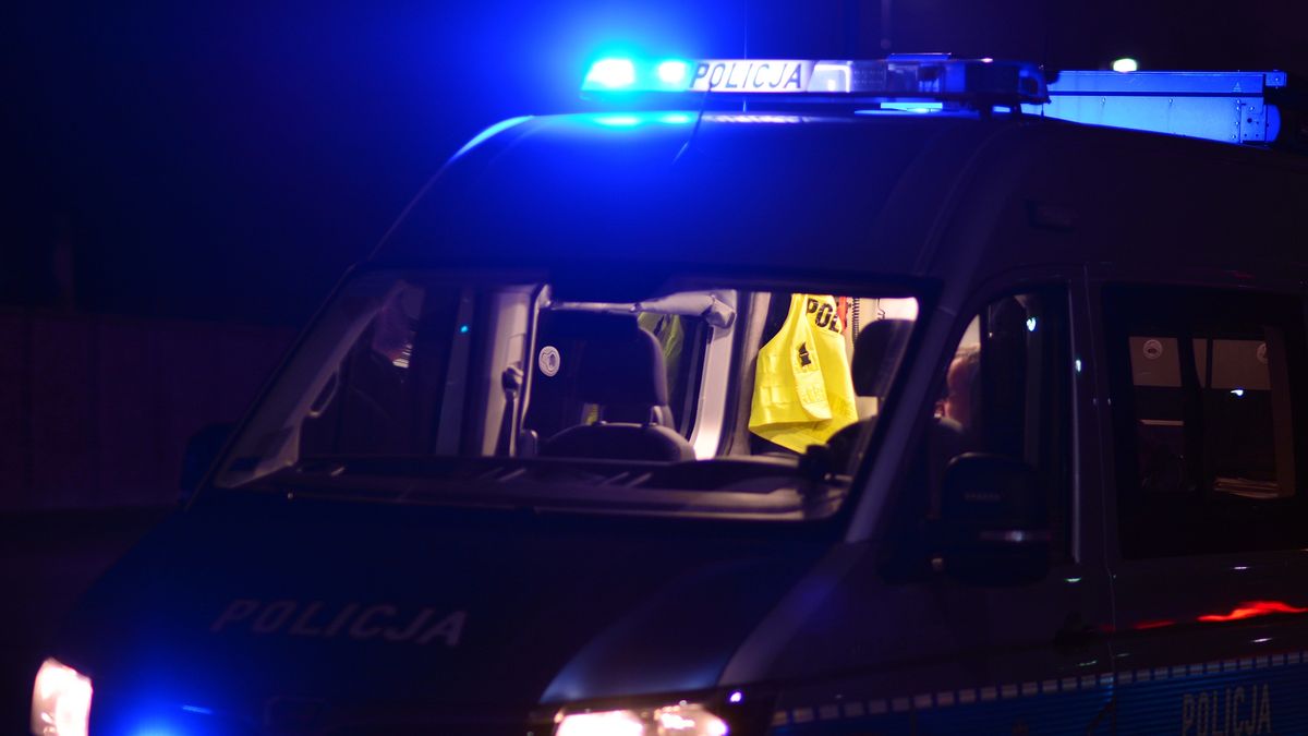 Police car lights at night city street.
Blue lights. Evening patrolling.
Grand Warszawski