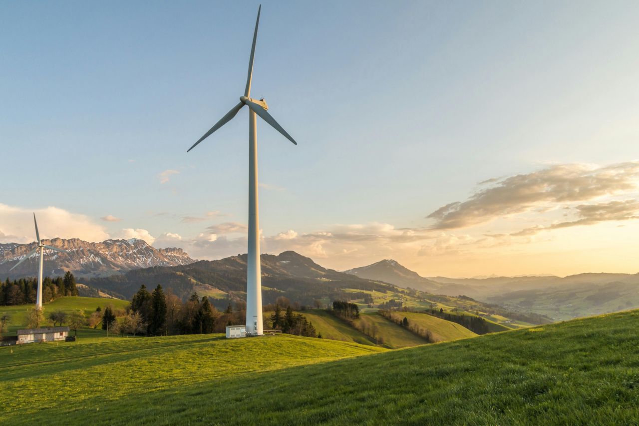 Wooden revolution: Eco-friendly turbine blades launched in Germany