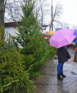 Totalna zmiana w prognozach. Nawet 10 stopni w święta