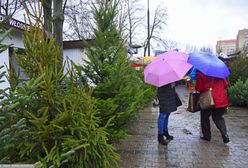 Totalna zmiana w prognozach. Nawet 10 stopni w święta