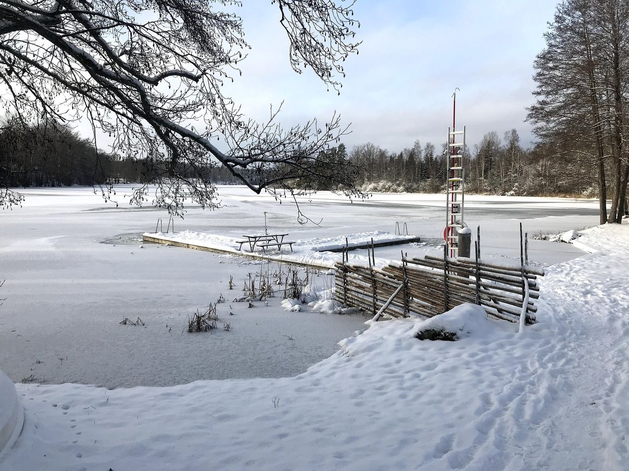 Lubisz morsować? Może się okazać, że robisz to nielegalnie