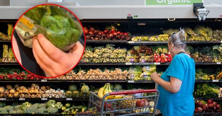 Mieli robić sałatkę. Odkrycie w produkcie z marketu odebrało im apetyt