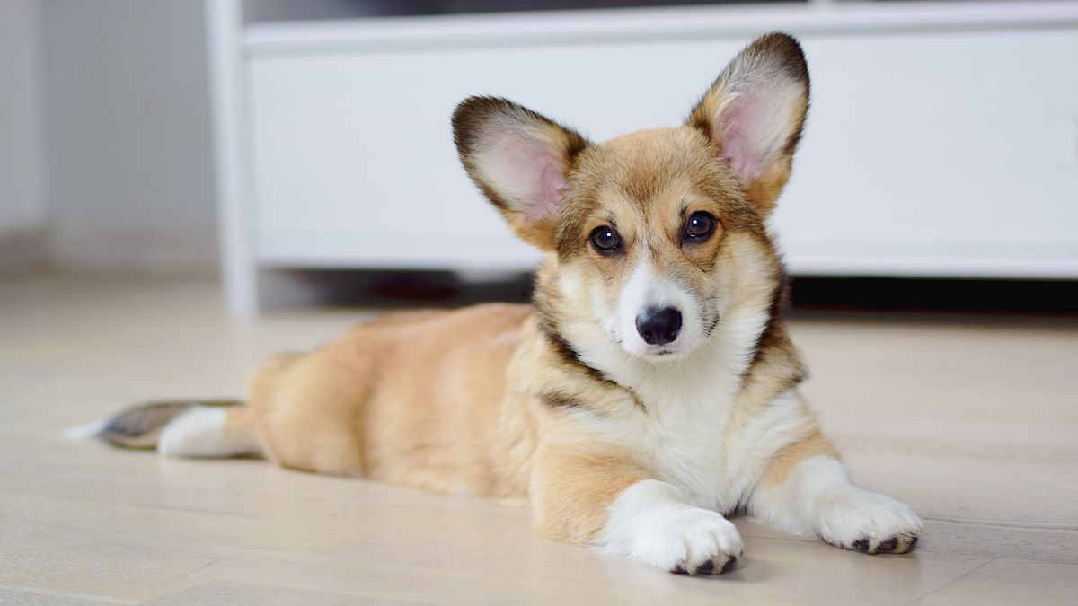 Podatki lokalne poszybują. Takiego skoku nie było od 25 lat - podaje "DGP" 