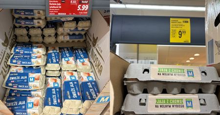 Zawieszenie broni? Ceny na metkach mówią same za siebie