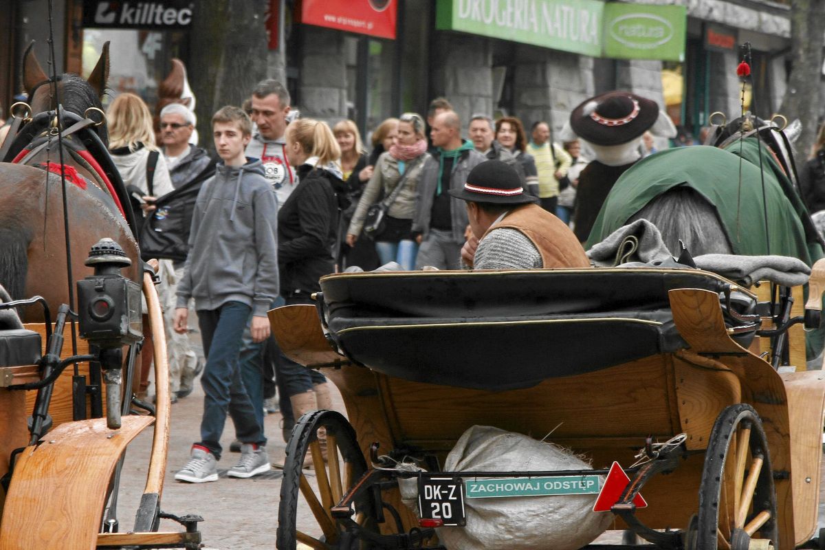 Końskie nieczystości przeszkadzają turystom; zdj. archiwalne