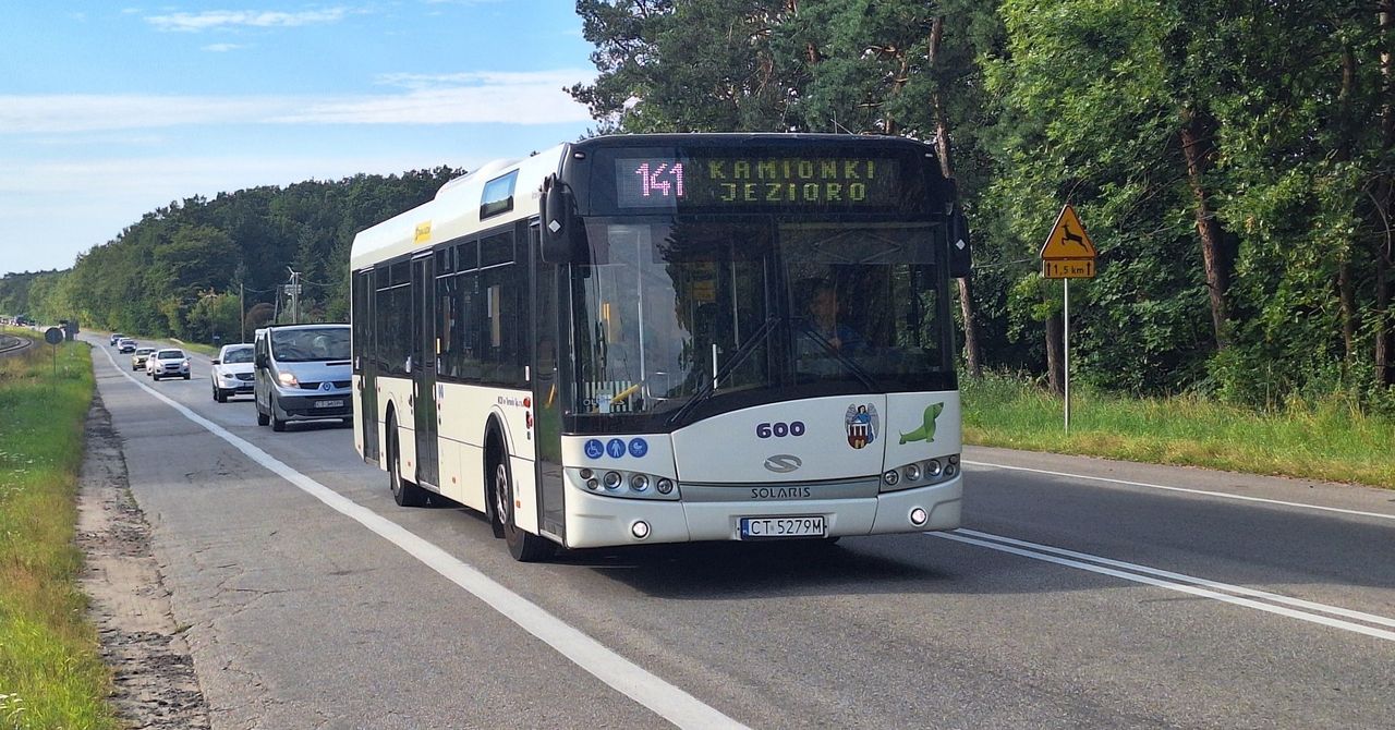 Toruń: Kolejne kursy autobusów MZK poza miasto. Pojadą na północ