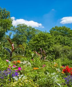 Warszawa. Park Skaryszewski w kwiatach. Zarząd Zieleni posadził nowe rośliny