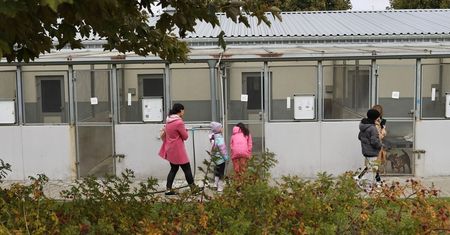 Dzień Otwarty w schronisku przy Metalurgicznej. Poznacie podopiecznych, będą też ptaki drapieżne i gady