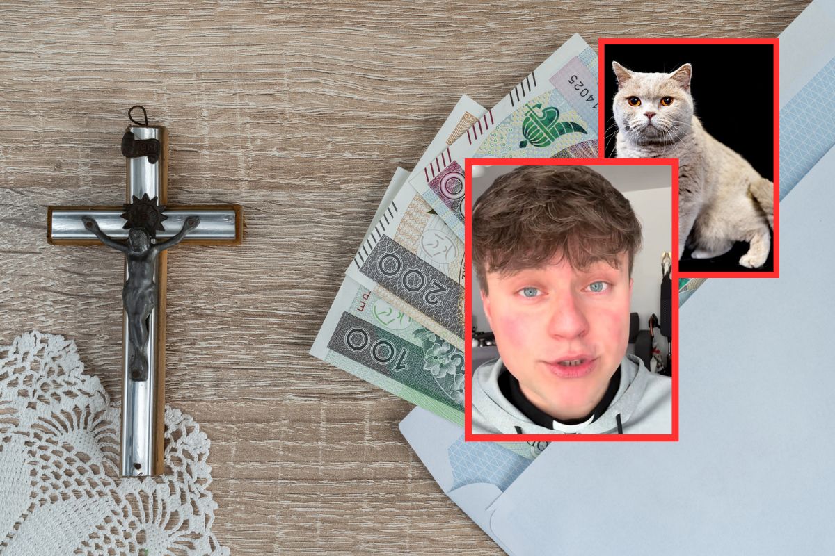 Szok podczas kolędy. Kot podpalił sobie ogon