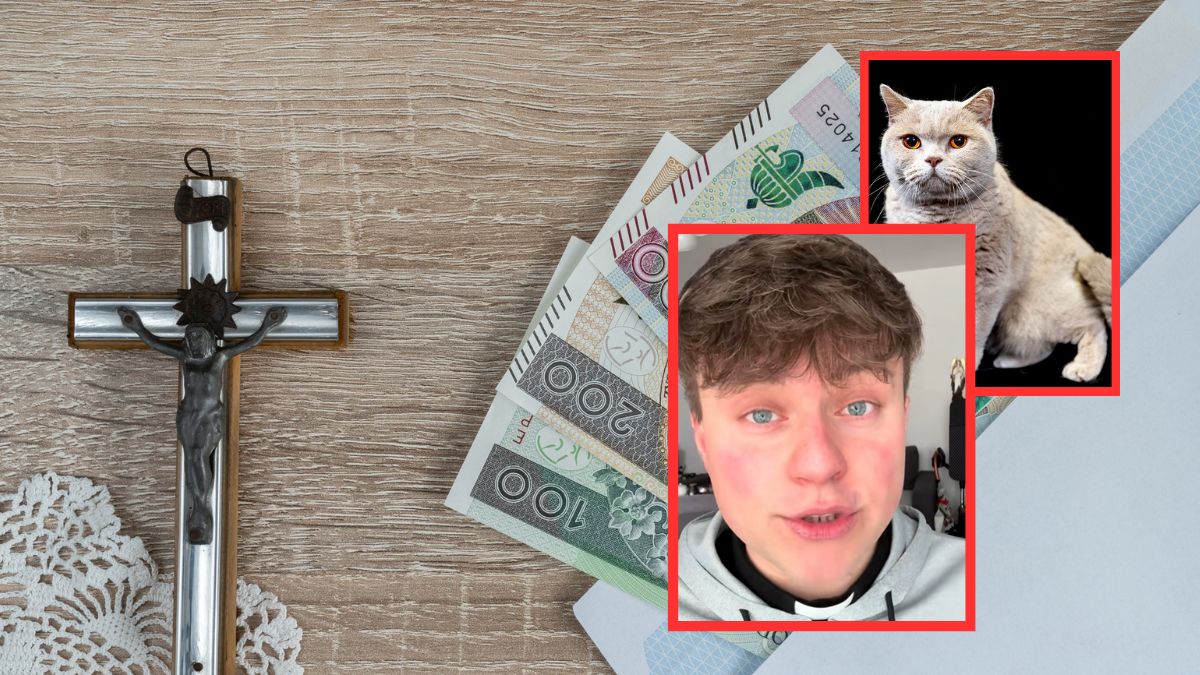 Szok podczas kolędy. Koty zapalił się ogon